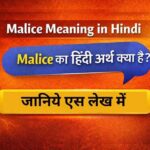 Malice meaning in hindi