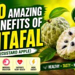 Benefits of Sitafal, Custard Apple Benefits, Health Benefits of Sitafal, Sitafal Nutrition, Custard Apple Nutrition, Benefits of Custard Apple, Healthy Fruits, Sitafal for Immunity, Sitafal for Digestion.